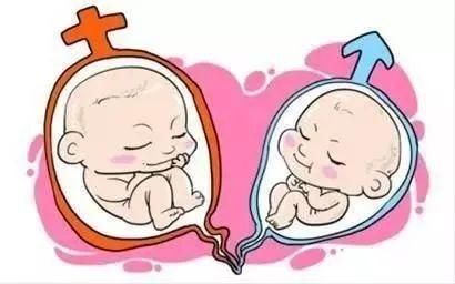 时差培养箱